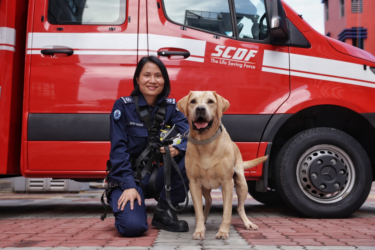 SCDF search platoon's dogs showcase height rescue skills