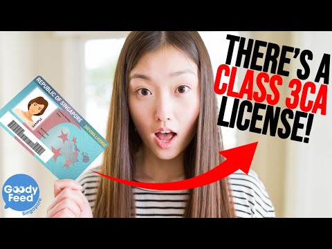 There Are Actually 11 Types Of Driving Licenses Here In Singapore