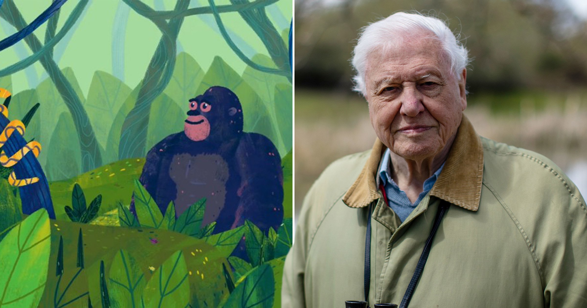 Sir David Attenborough narrates gorgeous animation on protecting ‘indispensable’ nature