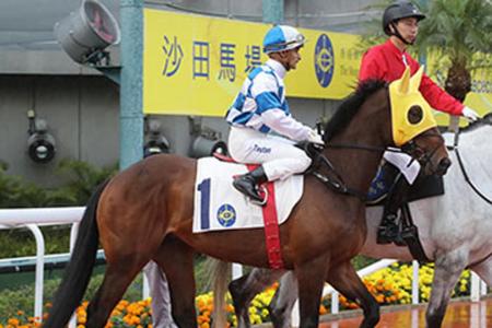 Track and trip will suit Harmony Spirit