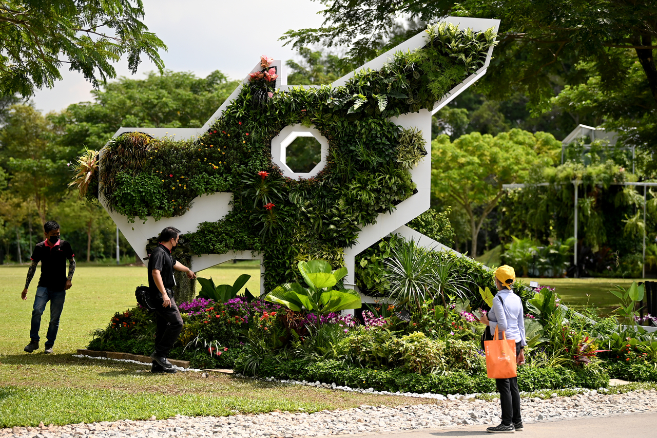 Largest therapeutic garden in Singapore opens at Jurong Lake Gardens