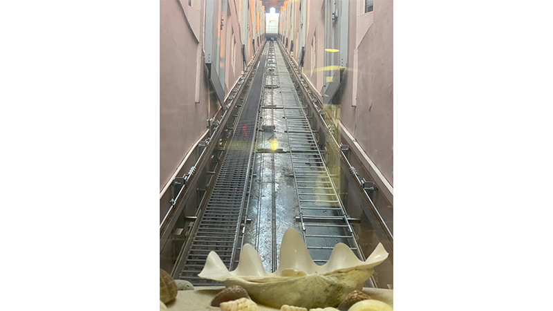 One-of-a-kind funicular lift in Pasir Panjang condo — Hong Kong tram-like super unique ride experience