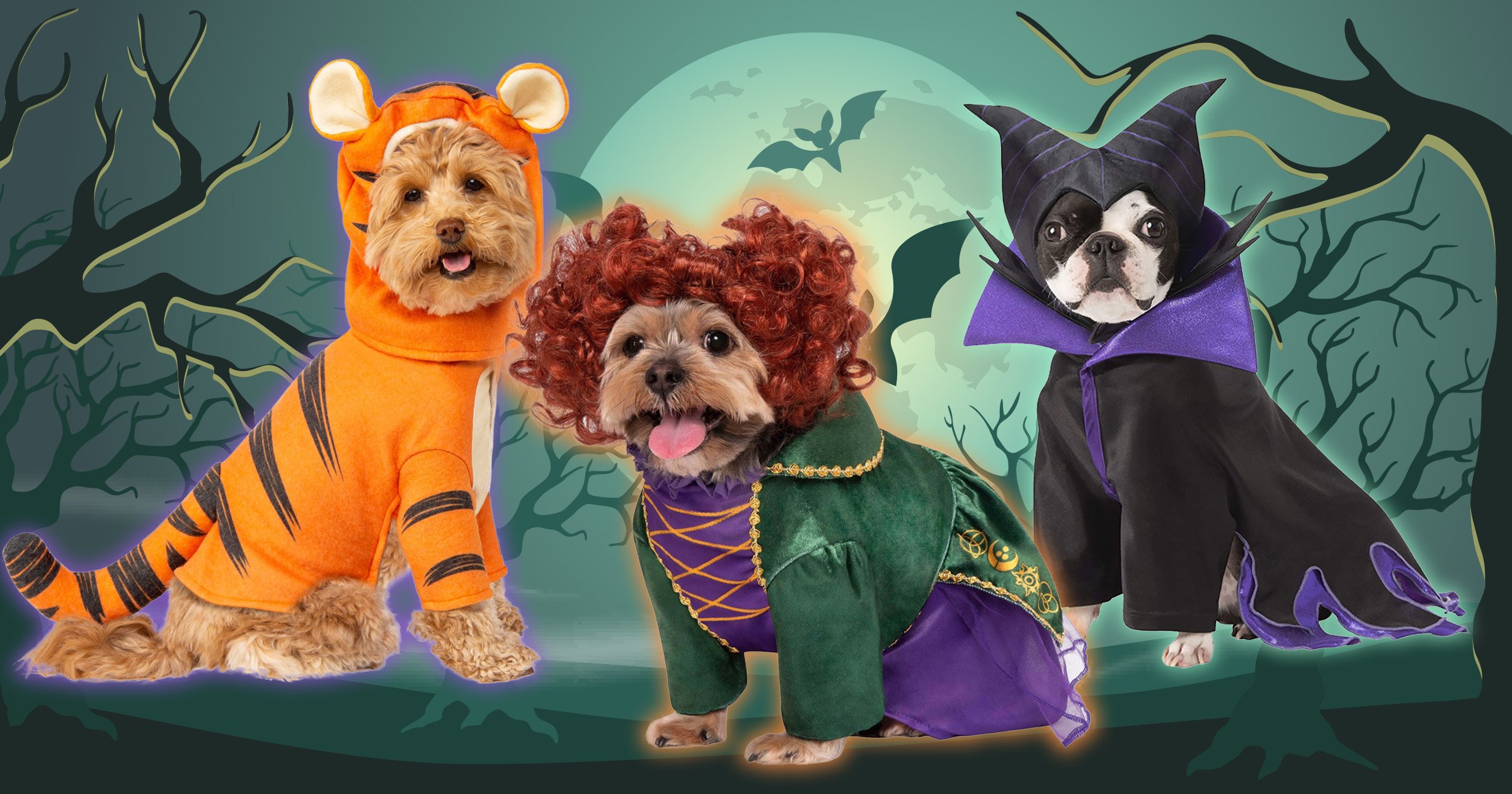 You can now dress your dog up in a Hocus Pocus costume for Halloween