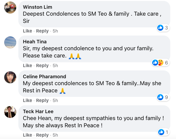 Chew Poh Yim, wife of Teo Chee Hean, passed away on Oct 31