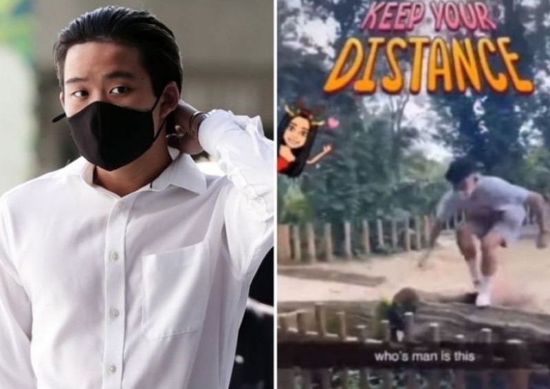 Teen who did backflip in rhino enclosure allegedly cut off electronic tag while out on bail; arrest warrant issued
