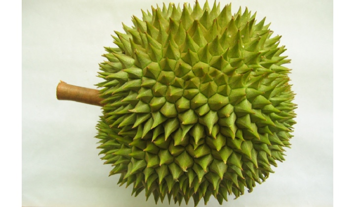 This Durian Variant Is Sneaking Its Way Into The Hearts Of Durian Fans