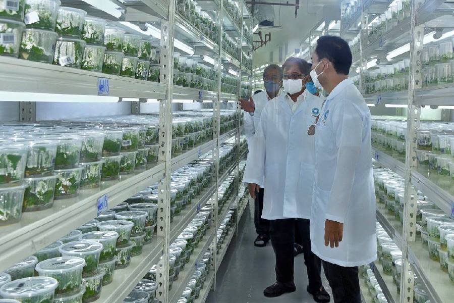 Sarawak CM officiates first plant cloning lab in Sarawak