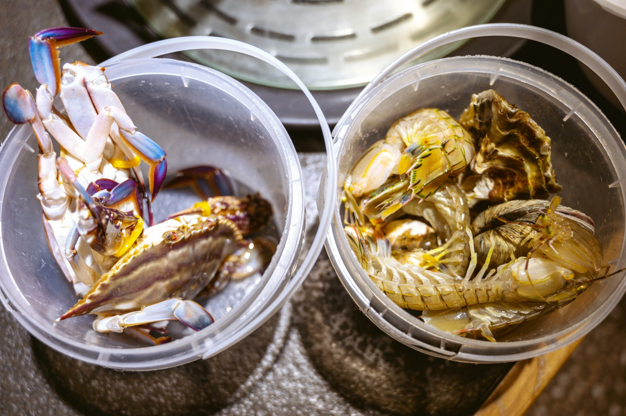 舌尖上的营口，这5家当地极具特色的美食餐厅，你吃过几家？ 鲅鱼宴 渤海鲜生 新红运营菜馆 虹溪谷粗粮海鲜馆 天天渔港