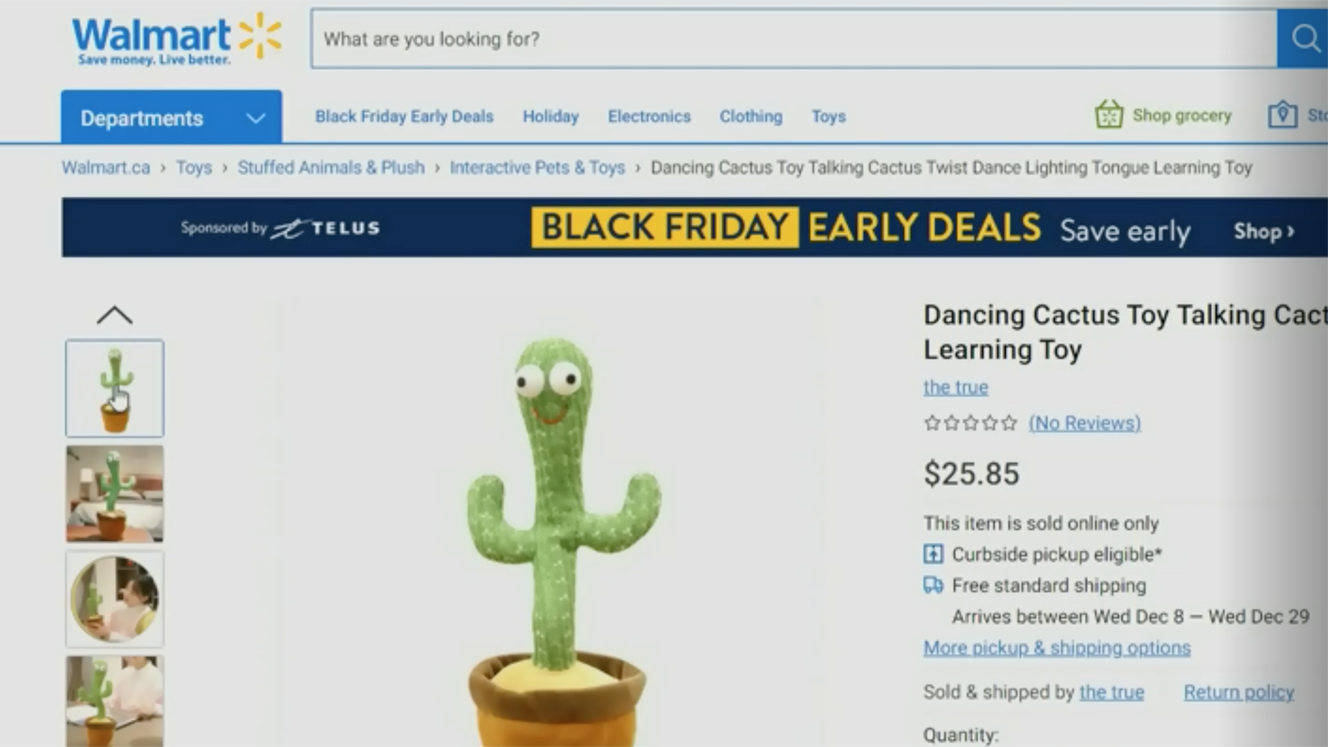 Walmart Canada Removes Cactus Toy That Sings About Cocaine in Polish