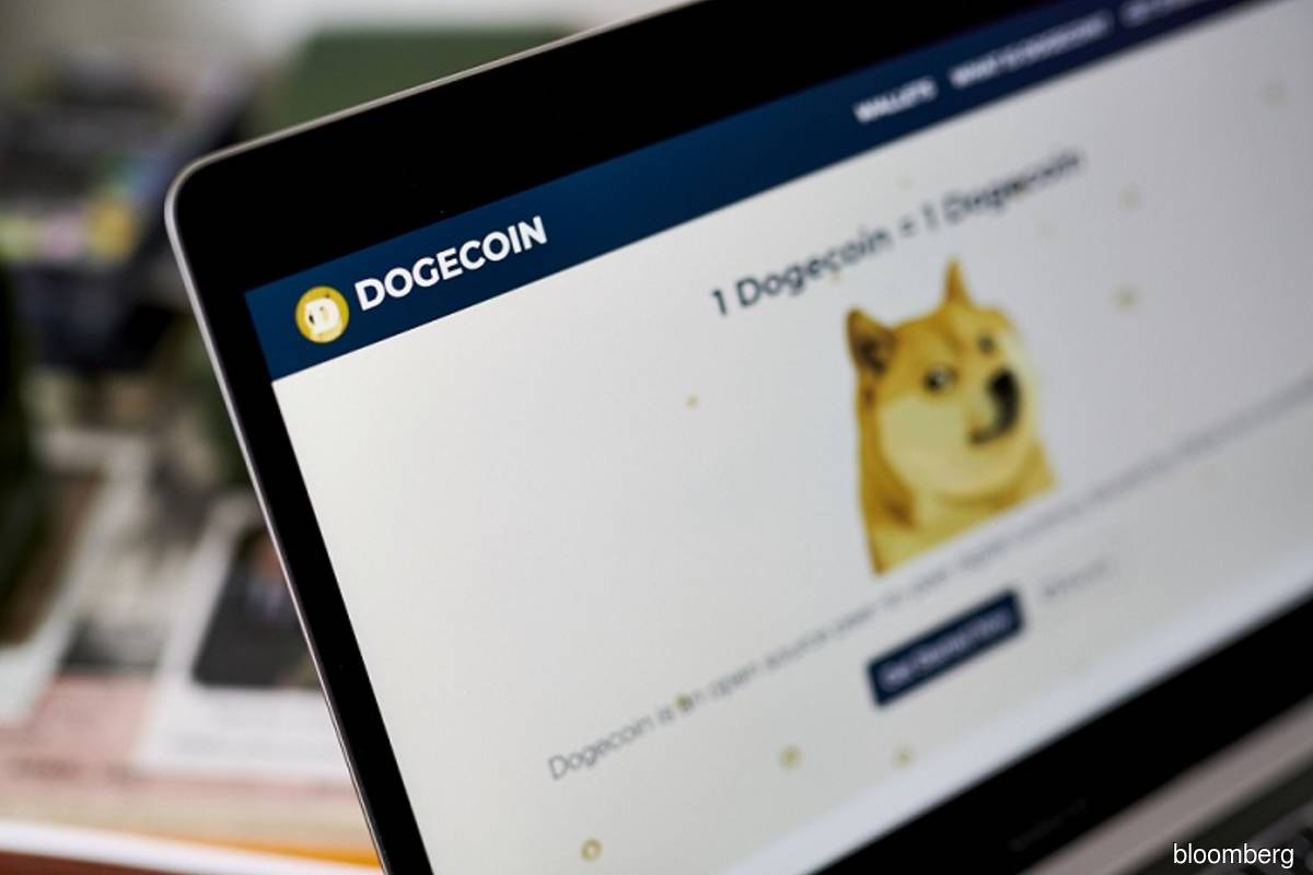 Meme coins return to earth as gloom overtakes crypto fanatics