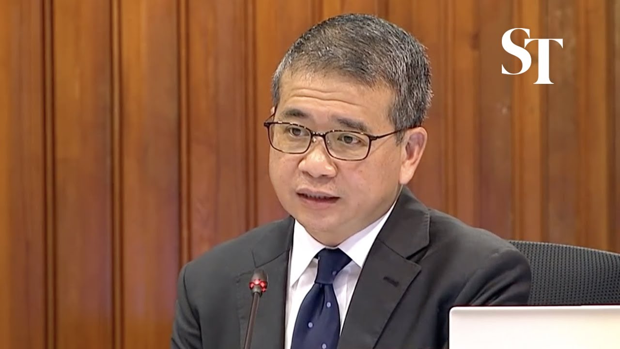 Edwin Tong: 'Please don't read into my questions' | Committee of Privileges