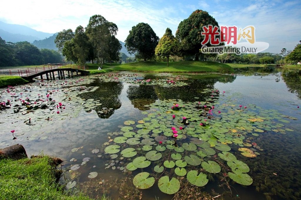 据调查太平最热门景点 旅客想去太平湖公园