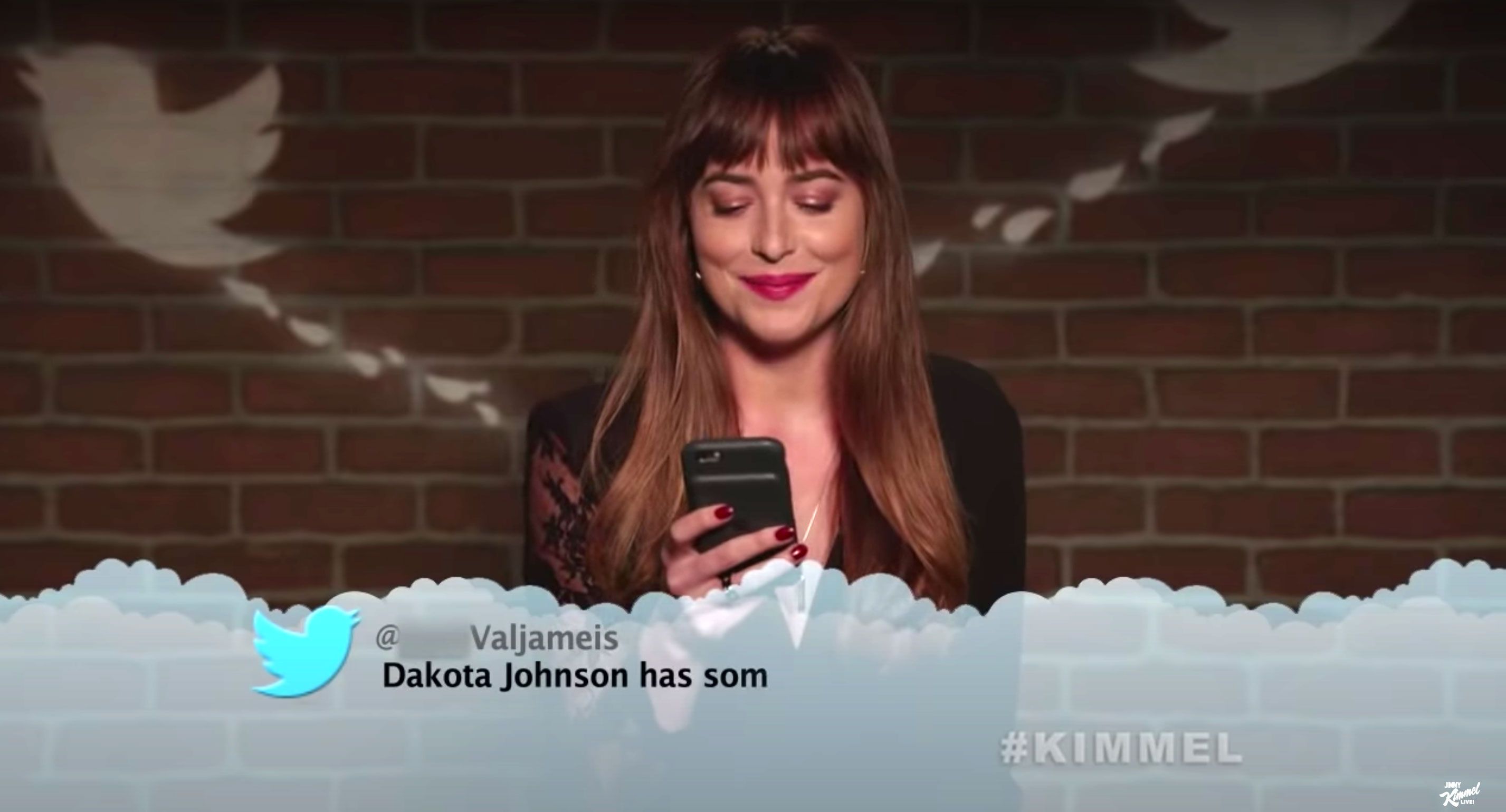 Dakota Johnson and Anne Hathaway Both Had Incredibly Satisfying Reactions to These Mean Tweets