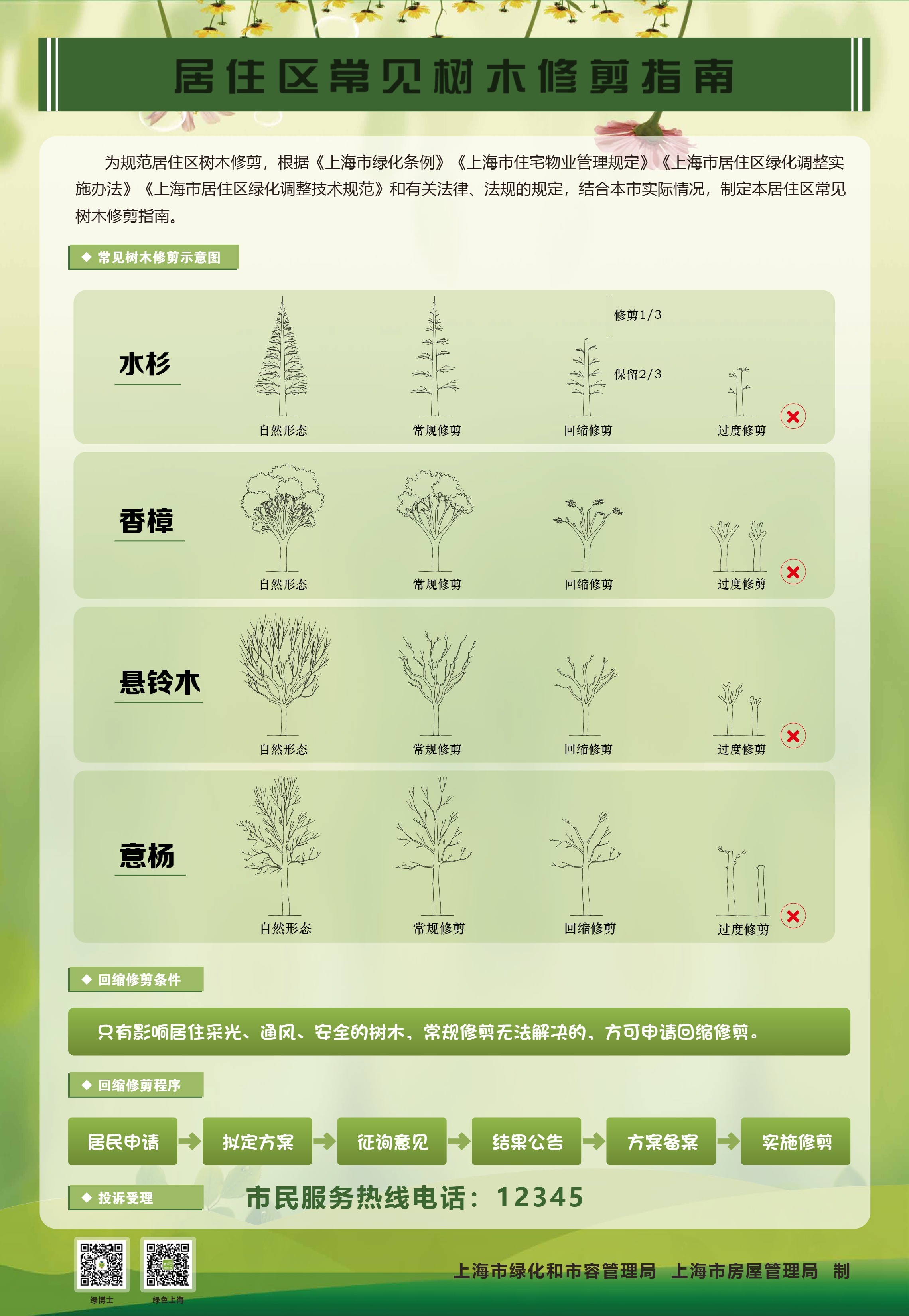家门口的树怎么修剪？《上海市居住区常见树木修剪指南》发布