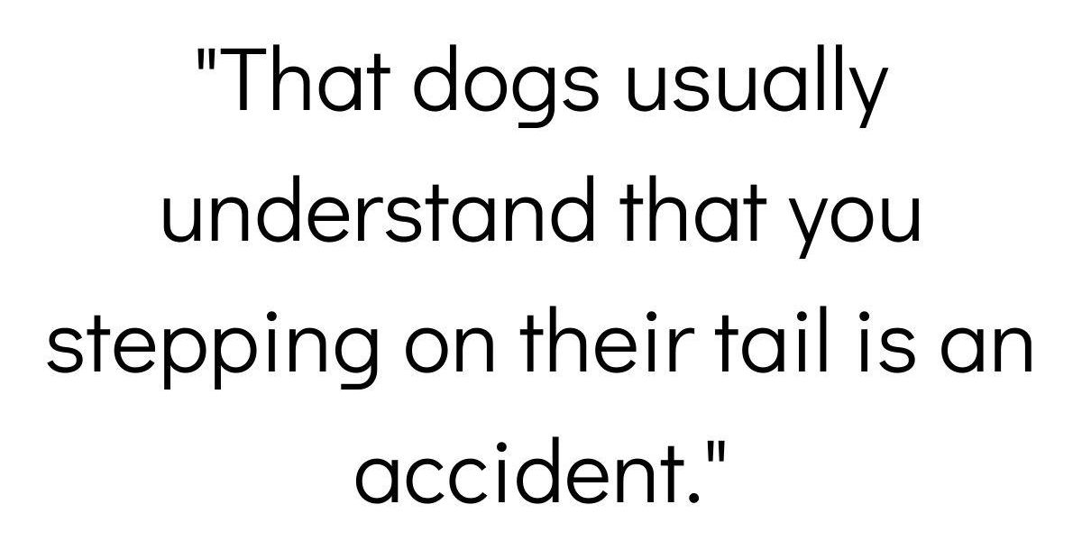 People Break Down The Most Comforting Facts They Know