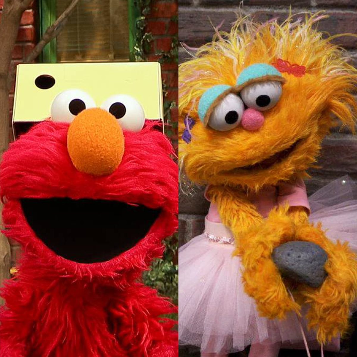 Elmo Reveals Where He Really Stands With Zoe After Feud With Rocco on Sesame Street