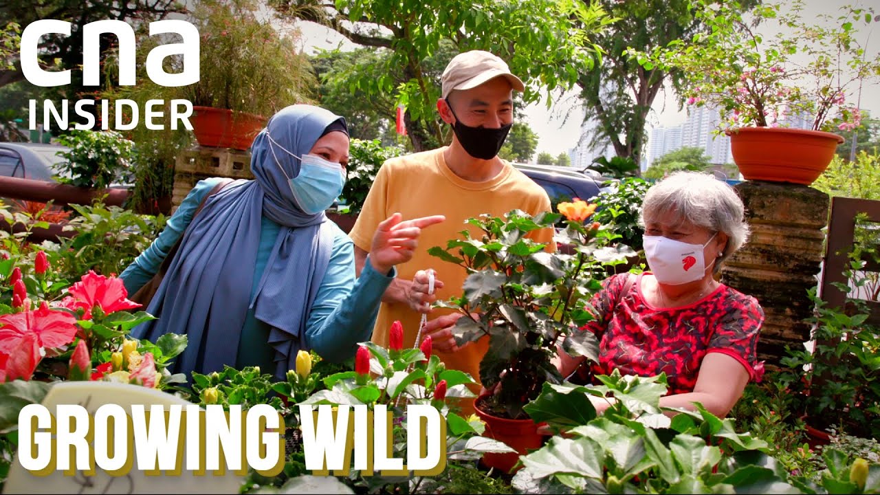 Gardening Community: Growing More Than Plants | Growing Wild - Part 3/3 | Full Episode