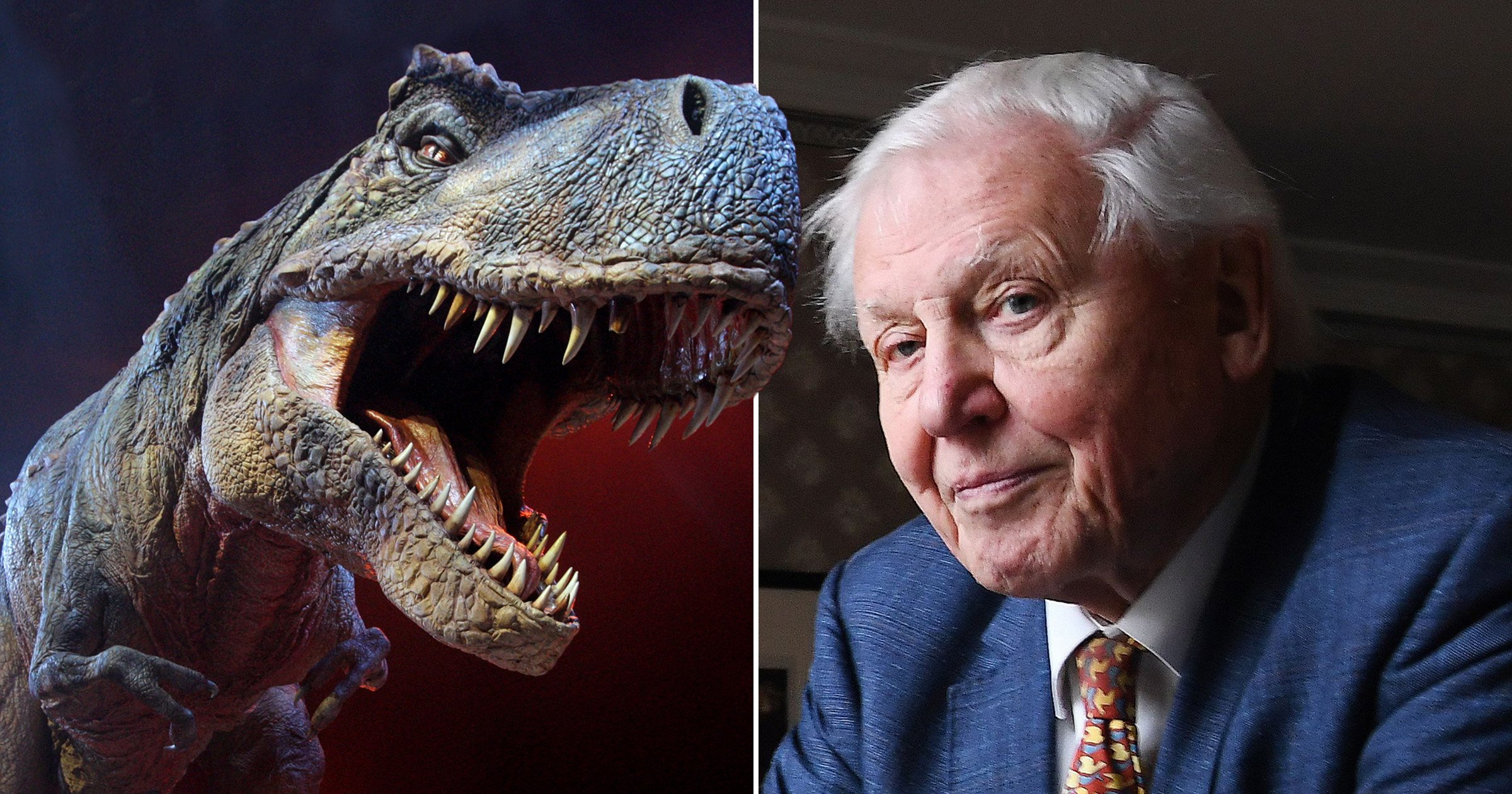 Sir David Attenborough to explore final day of dinosaurs in one-off BBC documentary