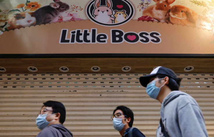 Hong Kong to Euthanize 2,000 Hamsters After Pet Shop Owner, Customer Test Positive for Covid-19