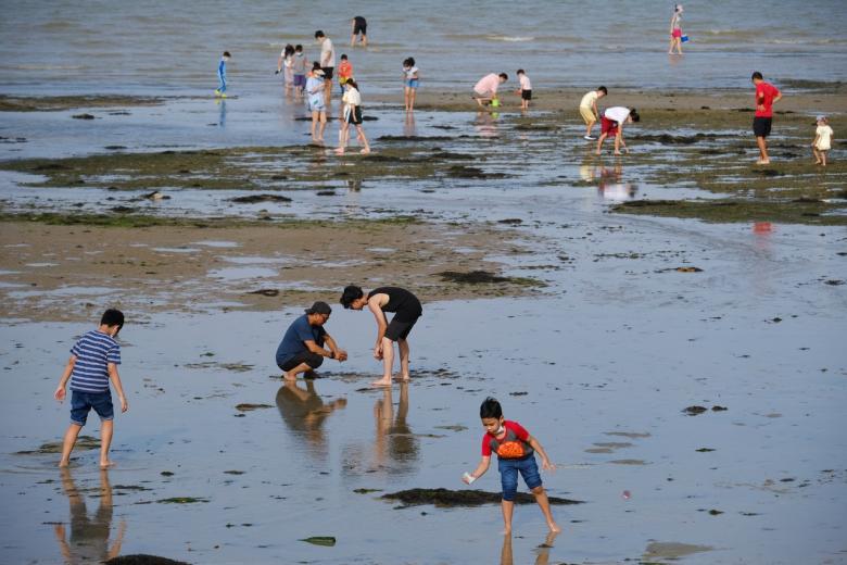 More NParks officers, volunteers deployed to remind visitors of etiquette at beaches