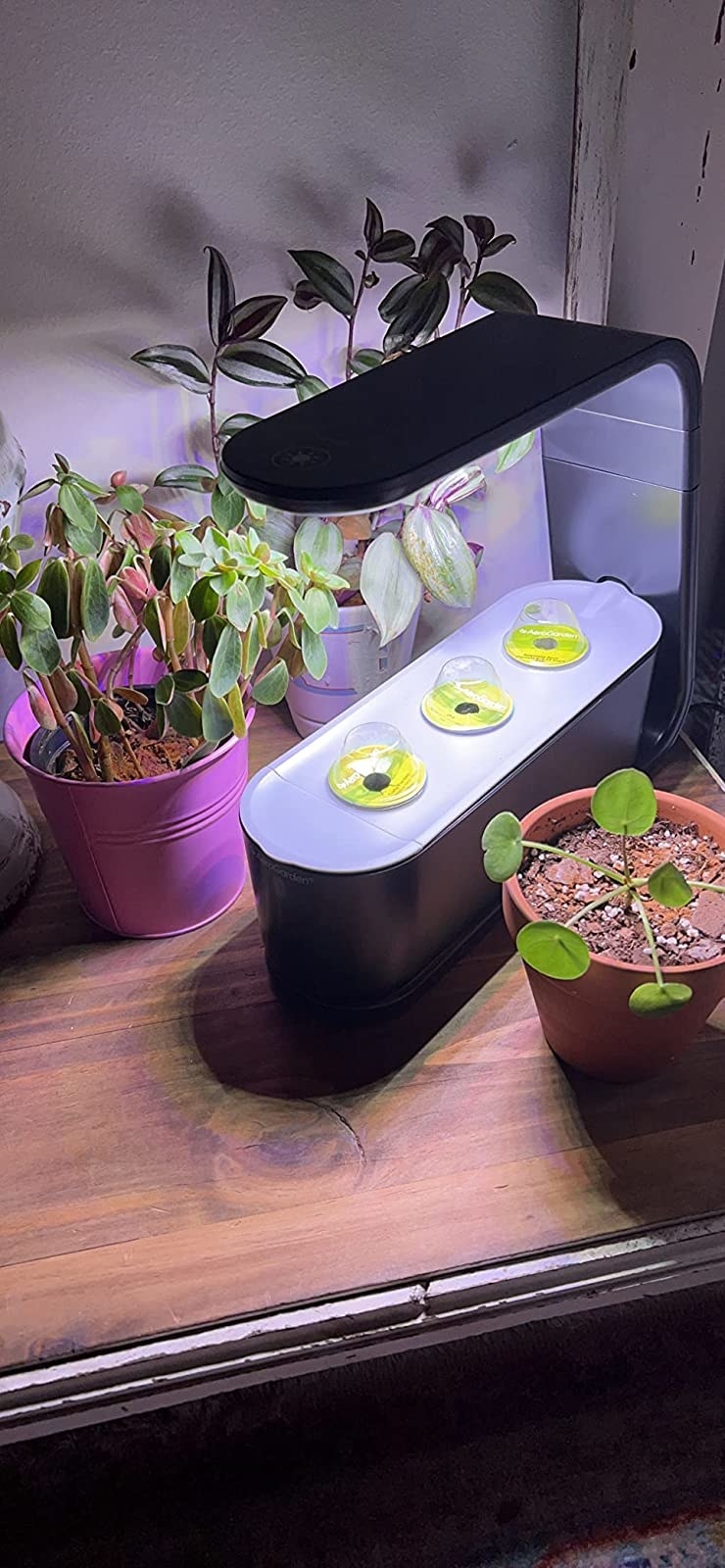 Just 43 Very Nice Things For Your Kitchen