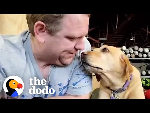 Dog Rescued From Puppy Mill Loves Going To Crossfit With Her Dad | The Dodo