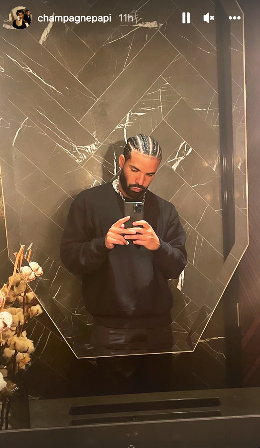 Drake Shows Off New Braided Hairstyle in Instagram Selfies — See the Certified Lover Boy!