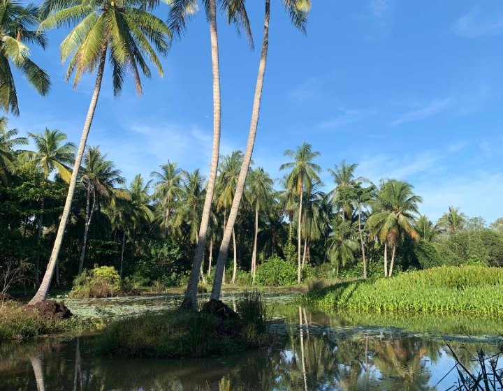 Camping is Back On! Here’s Our Review of a Pulau Ubin Camping Trip with Kids