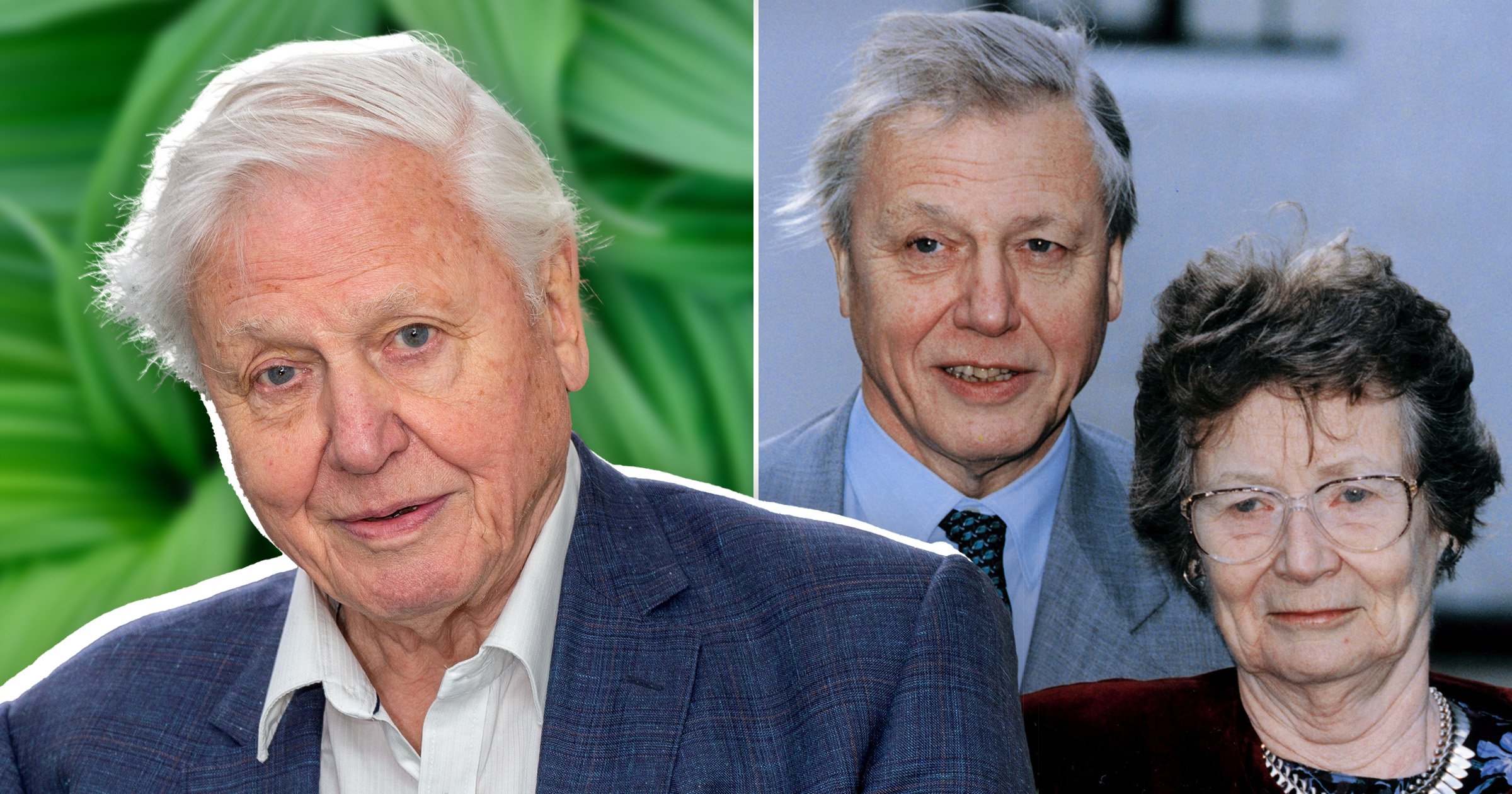 How old is Sir David Attenborough and who is his wife?