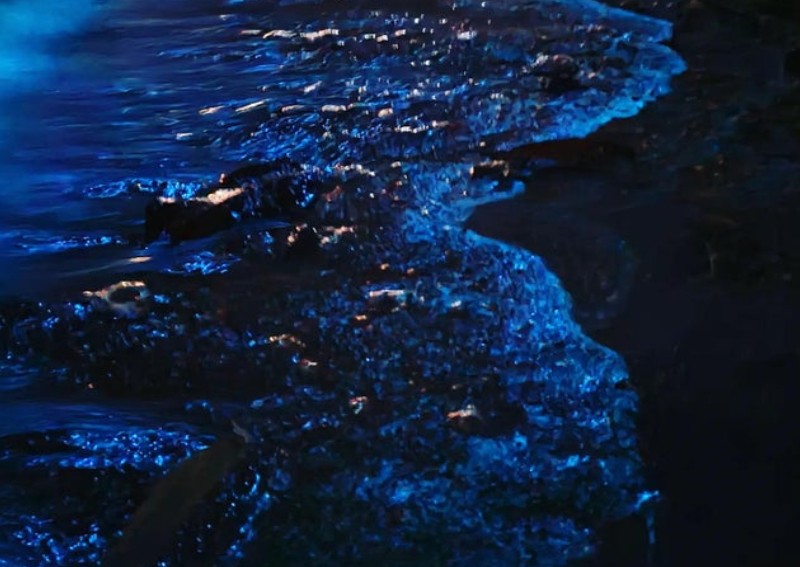 No blue glow? Irresponsible Singaporeans throw trash into Changi Beach to trigger it instead