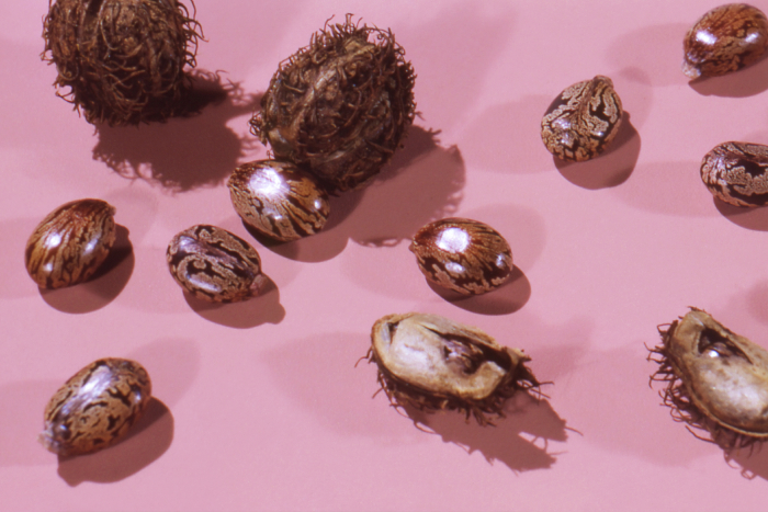 The best hair oils in Singapore for every hair type – from curly to frizzy