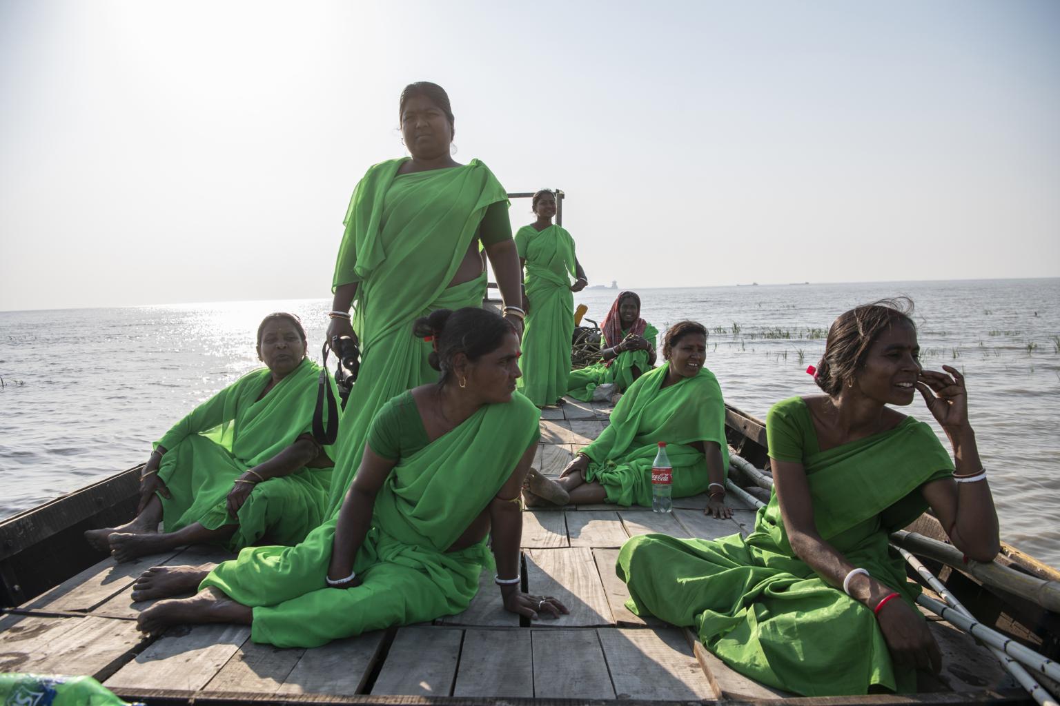 Facing disastrous floods, they turned to the Sundarbans' mangrove trees