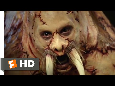 Tusk (2014) - Walruses Never Cry Scene (4/9) | Movieclips