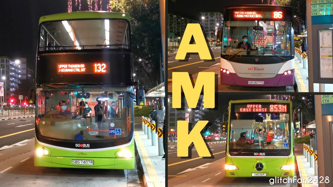 Buses at Blk Ang Mo Kio,