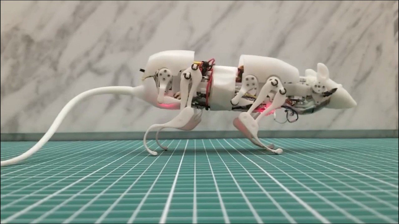 Chinese scientists create robot rat and it could prove to be a lifesaver