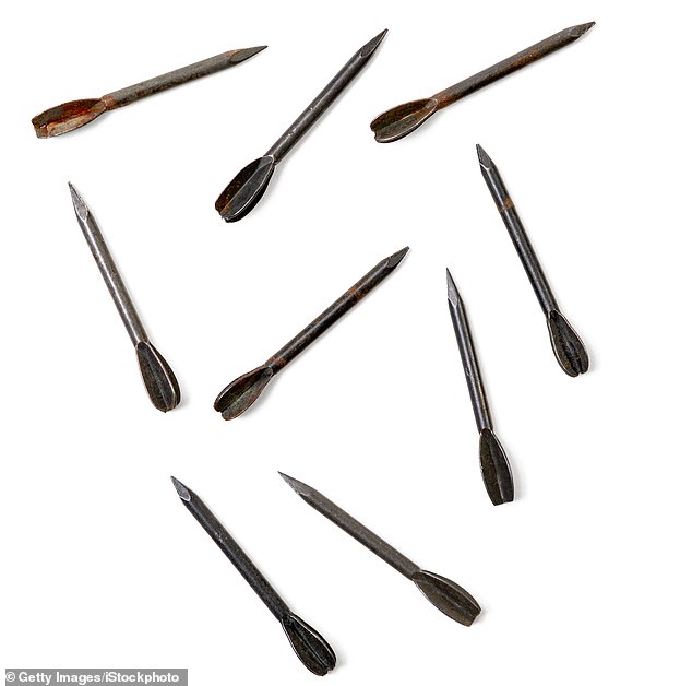 Dozens of Bucha citizens were killed by tiny metal darts blasted from Russia rockets, forensics say after it was revealed Putin's forces are using the WW1-era weapon in Ukraine