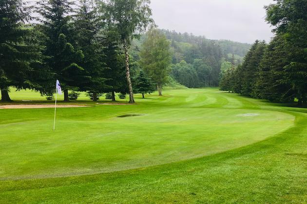 74-year-old golfer shoots man walking dog on golf course
