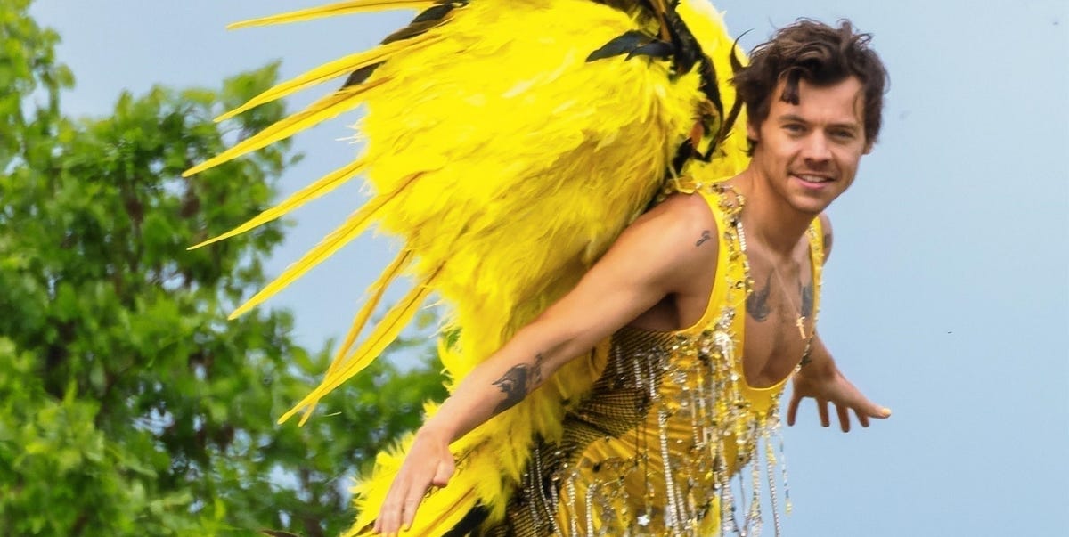 Harry Styles Was Just Shot Out of a Circus Cannon in a Bejeweled Leotard and Feathers