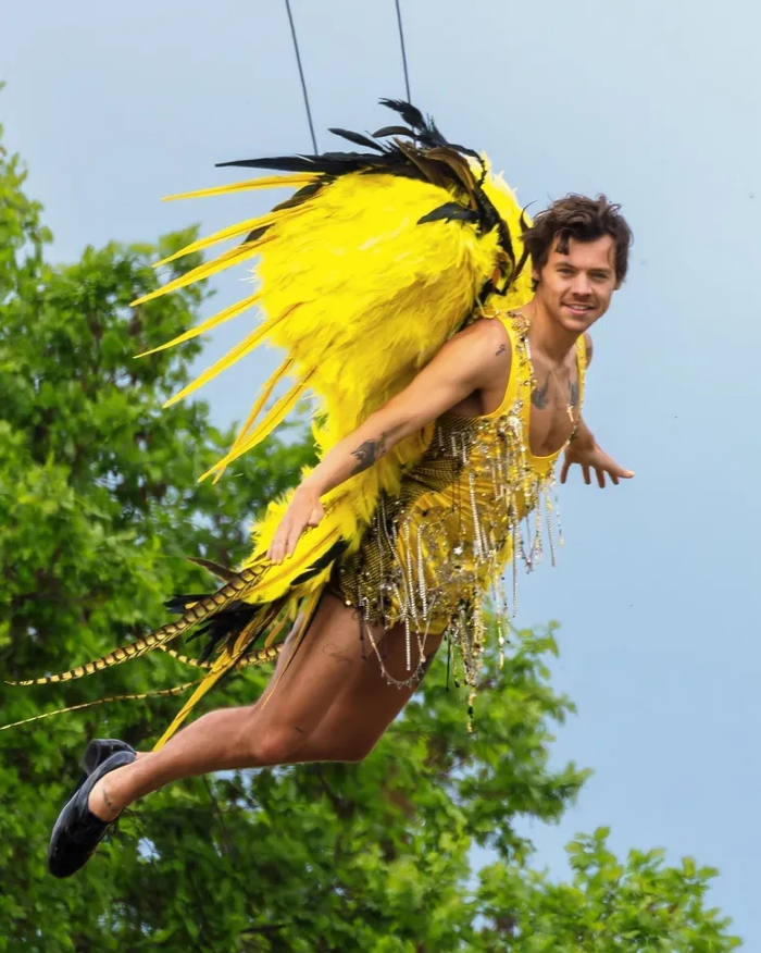 Harry Styles Was Just Shot Out Of A Circus Cannon In A Bejeweled Leotard And Feathers