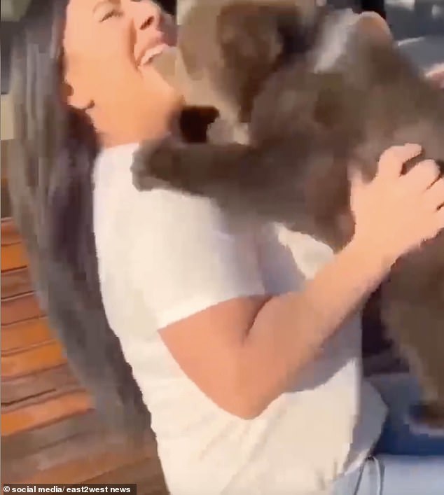 Bear cub sinks its teeth into woman's face 'because she smelled like fish': Animal chomps on victim’s chin at Russian park after she ate a salmon salad