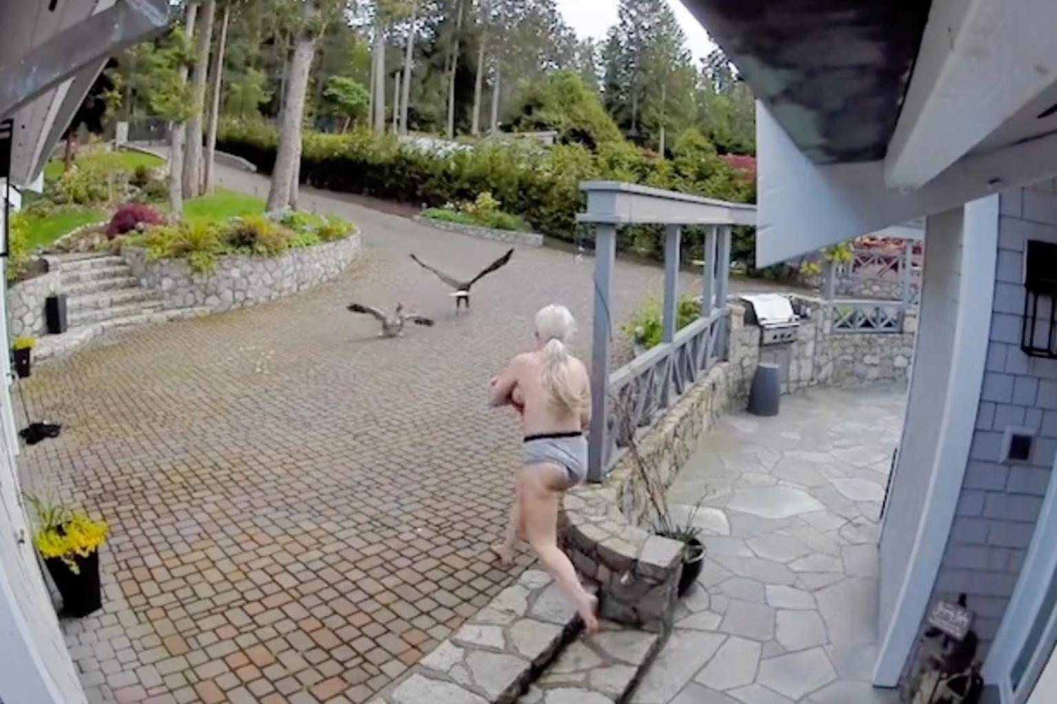 Woman Saves Pet Goose From Bald Eagle In Bizarre Video