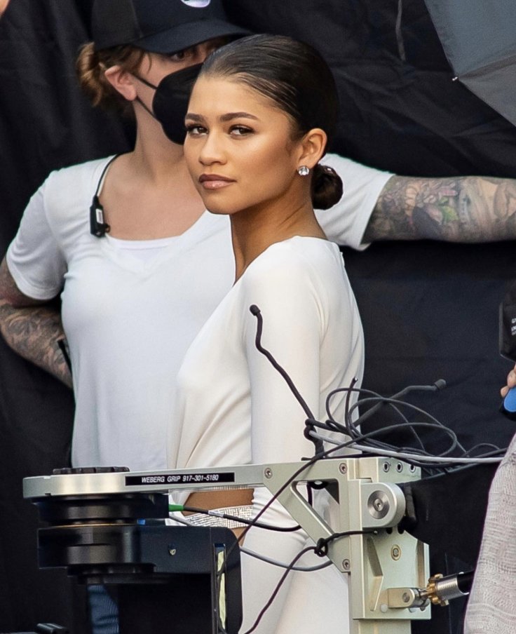 Fact Check: Did Zendaya Get Beaten Up? Viral Video Shows Nasty Brawl, Triggering Speculation