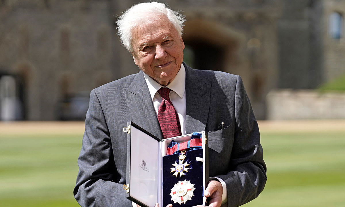 Prince Charles awards Sir David Attenborough his second knighthood at Windsor Castle