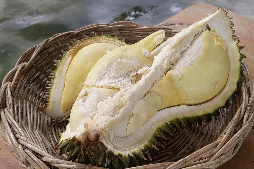 Thai durian operators in a prickly spot as the authorities urge industry to grow