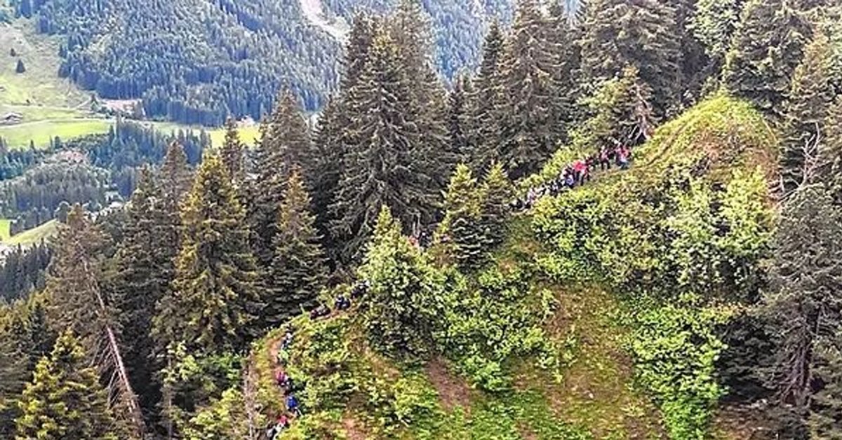 网络乱查步道 德107师生阿尔卑斯山迷路