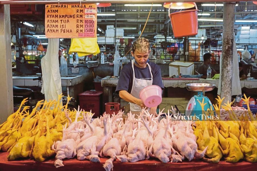 Mafi gives special permission to export three chicken commodities Nestia