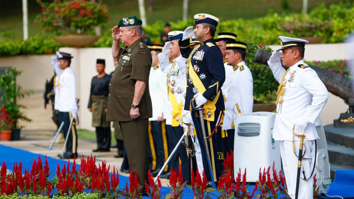 Johor crown prince Tunku Ismail appointed regent as Sultan Ibrahim takes a break from royal duties