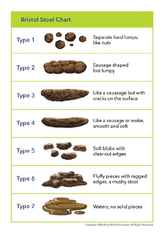 Your poo is an indication of your health in many ways! Learn how to ...