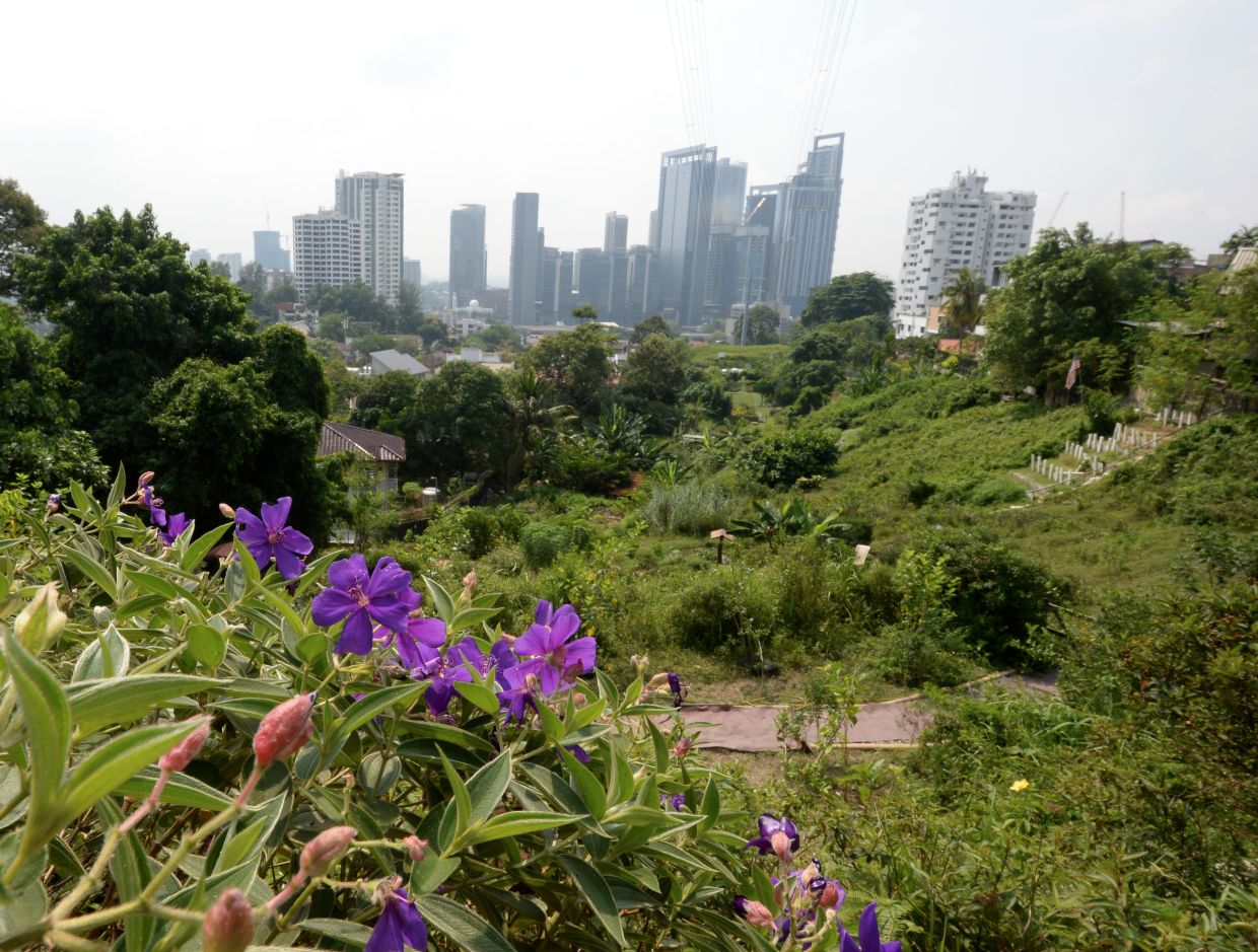 Discussion to be held between DBKL, Kebun Kebun Bangsar soon