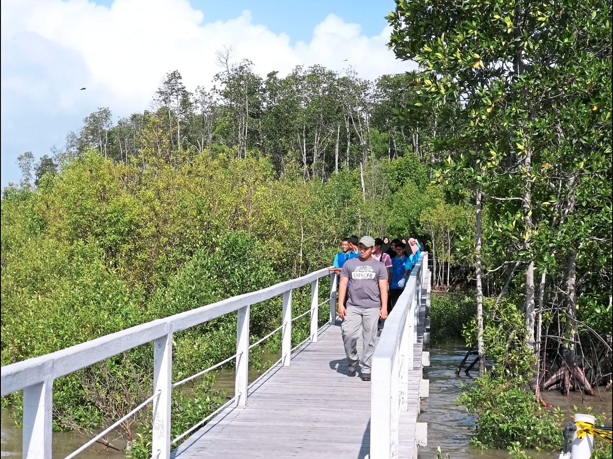 Better facilities for Tanjung Piai and Pulau Kukup parks